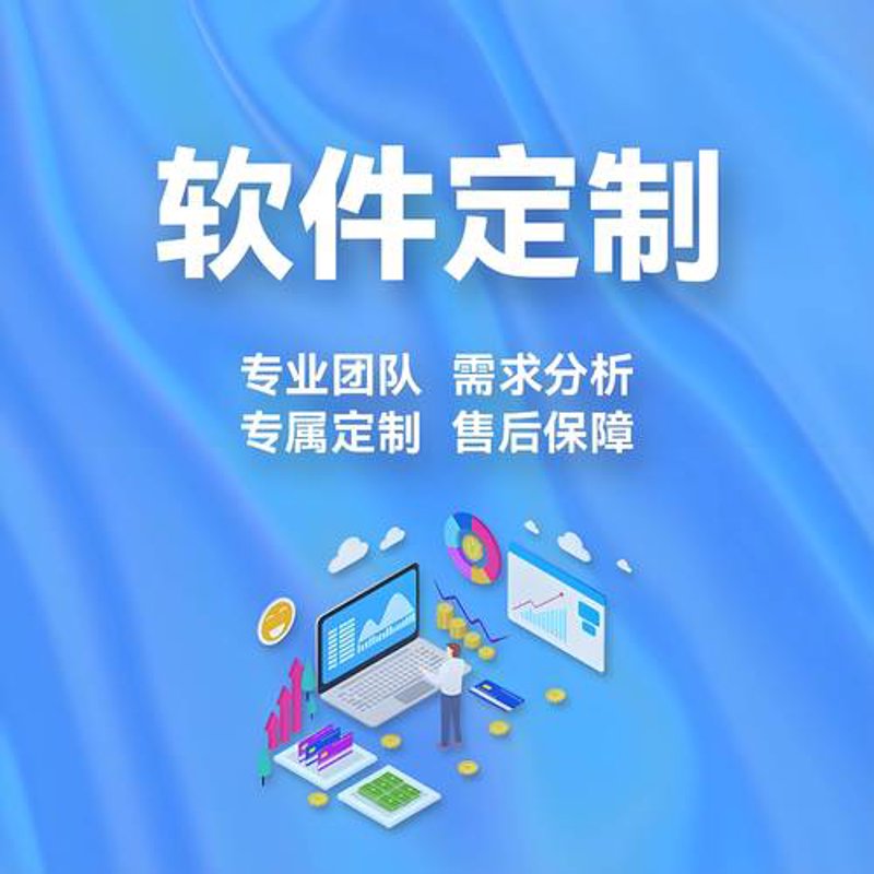 软件系统开发